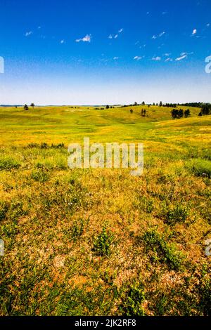 Views of Wind Cave National Park in Summer, South Dakota Stock Photo