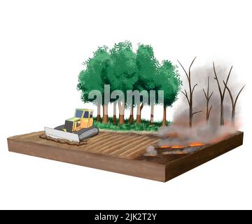 Illustration showing a forest being burned and cleared for land use. Stock Photo