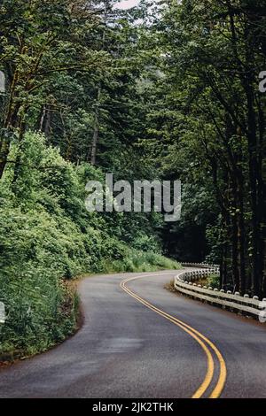 Narrow two lane road through the forest in Oregon, USA Stock Photo