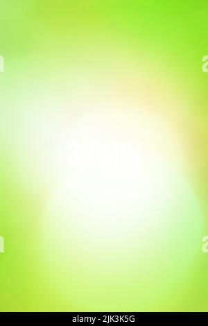 Chlorine greenery  blurred background. Pistachio color blur bokeh. Stock Photo