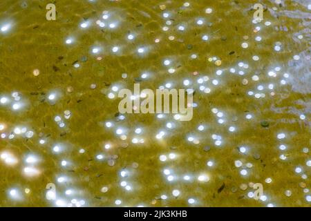 Bunch of coins undwerwater in a wishing well pond reflecting the sun. Stock Photo