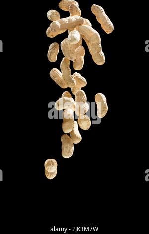 Realistic freeze motion of flying peanuts on black background. Stock Photo