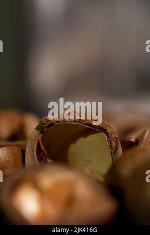 split macadamia nutshell close-up macro photo. Stock Photo