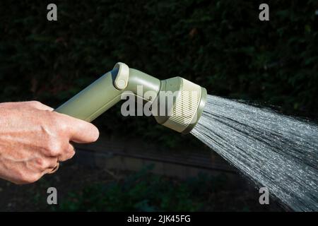 Woman using a hosepipe to water her vegetable garden. Stock Photo