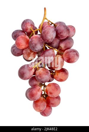 red grape path isolated on white Stock Photo