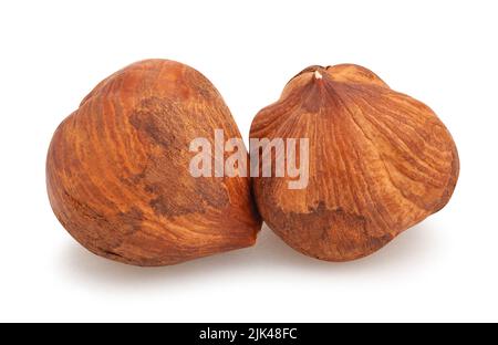 hazelnut path isolated on white Stock Photo