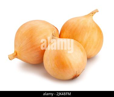 onions path isolated on white Stock Photo