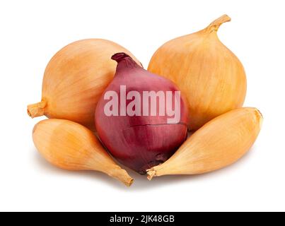 onions path isolated on white Stock Photo
