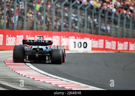 Mogyorod, Hungary. 30th July, 2022. Fernando Alonso (ESP) Alpine F1 Team A522. Hungarian Grand Prix, Saturday 30th July 2022. Budapest, Hungary. Credit: James Moy/Alamy Live News Stock Photo