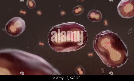 Artist's impression (3D) of Monkeypox virus under microscope. Stock Photo