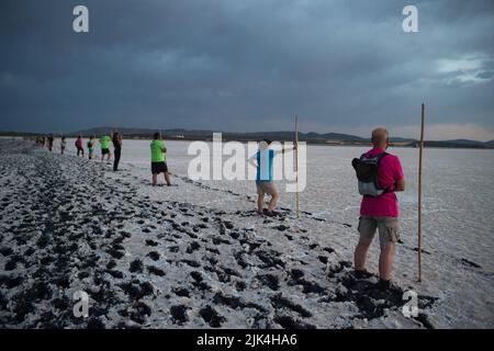 Malaga, Spain. 30th July, 2022. Volunteers are seen holding sticks at dawn as they wait during the tagging, evaluating and identifying of flamingo chicks to control their conservation at Fuente de Piedra Lake in Malaga. This lagoon is a nature reserve and breeding ground for flamingos where visitors can observe many species in their natural habitat. This year around 600 flamingo chicks were tagged with the assistance of 400 volunteers. (Photo by Jesus Merida/SOPA Images/Sipa USA) Credit: Sipa USA/Alamy Live News Stock Photo