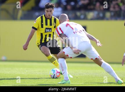 Dortmund, Deutschland. 30th July, 2022. firo : 07/30/2022, football, soccer, 1st league, 1st Bundesliga, season 2022/2023, test match, friendly match BVB, Borussia Dortmund - Antalyaspor Antalya duels, Giovanni Reyna Credit: dpa/Alamy Live News Stock Photo