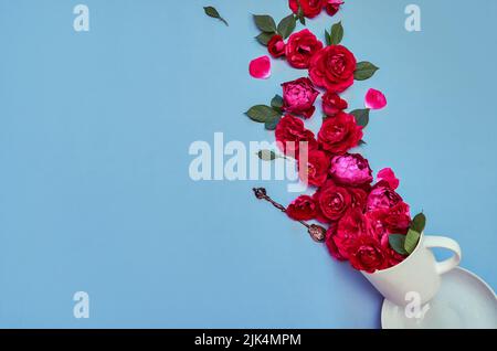 Red flowers peonies in cup on blue floral background. Flat lay, copy space Stock Photo