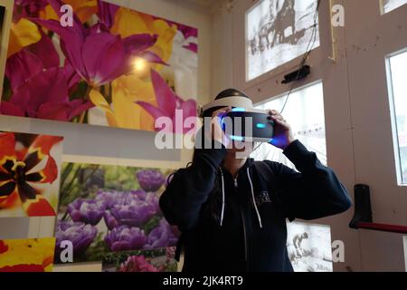 Woman with VR headset at the Tulip Museum Amsterdam Stock Photo