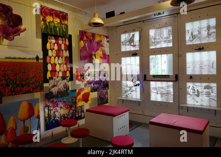 Room 6 at the Amsterdam Tulip Museum with VR headset Stock Photo