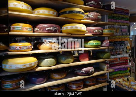 Cheese wheels at the Cheese Museum Amsterdam Stock Photo