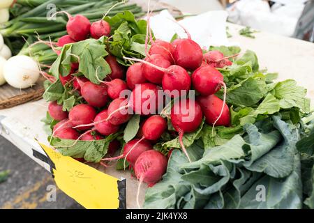 Bunches of radishes at a farmer's market Stock Photo
