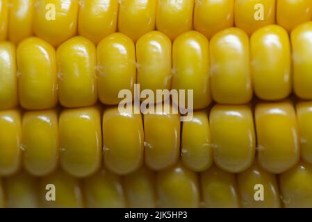 Corn kernels macro photograph. Close up. Stock Photo
