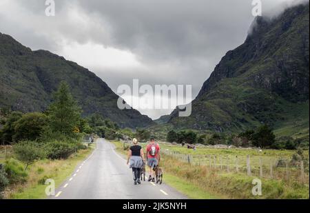 Gap of Dunloe, Killarney, Ireland. 30th July, 2022. A couple walk their dogs near the Gap of Dunloe, Killarney, Co. Kerry, Ireland. - Credit; David Creedon / Alamy Live News Stock Photo