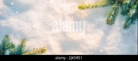 Spruce branches on the snow shining in the sunlight. Christmas copy space background Stock Photo