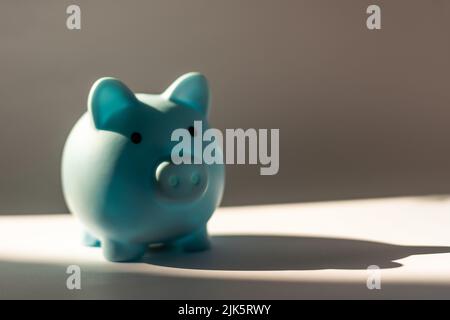 Simple Piggy Bank - With Expressions - Sad, Crying. Stock Photo