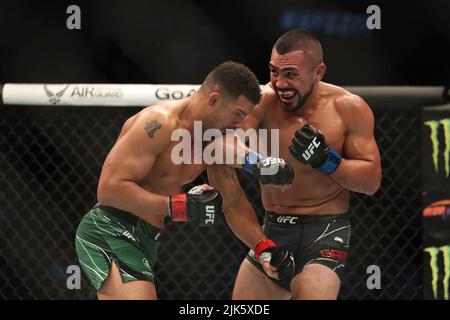 DALLAS, TX - JULY 30: (R-L) Rafa Garcia punches Drakkar Klose in their Lightweight bout during the UFC 277 event at American Airlines Center on July 30, 2022, in Dallas, Texas, United States. (Photo by Alejandro Salazar/PxImages) Credit: Px Images/Alamy Live News Stock Photo