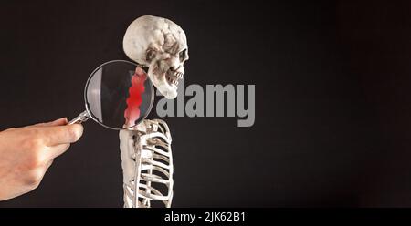 Banner with hand with magnifying glass over cervical vertebrae of human skeleton model. Neck pain, stiffness concept with red point. Health problems, anatomy concept. Copy space. High quality photo Stock Photo