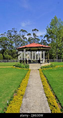 Beautiful landscapes of government tea park, ooty. Best scenic location in ooty. Stock Photo