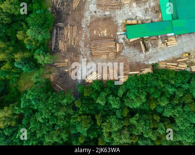 Pile of Logs in Sawmill Industry Aerial View. Green pine forest from above.. Stock Photo