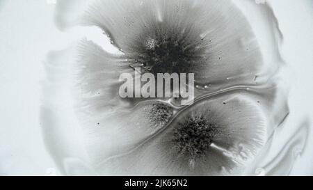 Black Chinese ink stains on a white background creating a flowery, organic pattern perfect for backgrounds and graphic textures Stock Photo