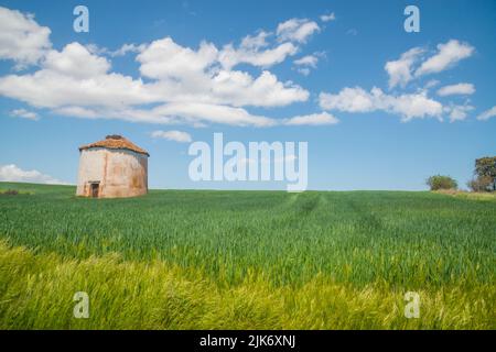 Traditional dovecote. Noviales, Soria province, Castilla Leon, Spain. Stock Photo