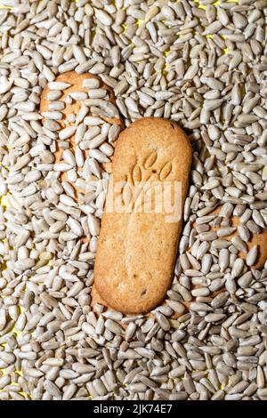 cookies on the background of sunflower seeds. Stock Photo