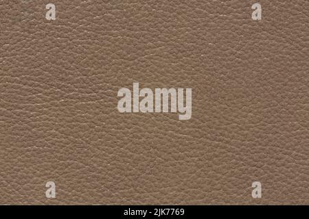 Expensive leather texture in simple dark beige tone. Stock Photo