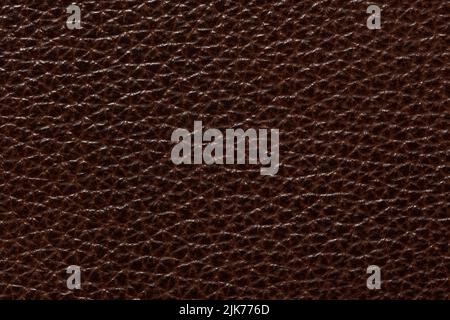Extraordinary leather texture in contrast brown tone. Stock Photo