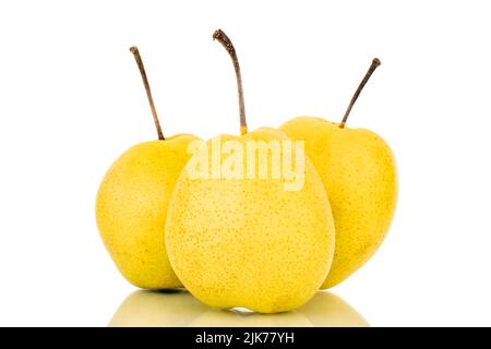 Three organic bright yellow pears, close-up, isolated on a white background. Stock Photo