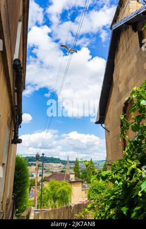 Traditional houses at Bathwick Hill in Bath-the largest city in the county of Somerset, England, known for and named after its Roman-built baths Stock Photo