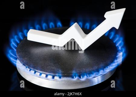 Propane gas price. Supply chains and the energy gas crisis. The concept of gas import and export, transit. Gas stove with burning flame and graph Stock Photo