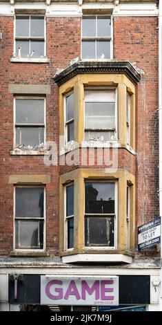 Victorian terraced building with bay windows and seagulls perched on windowsills Stock Photo