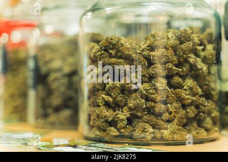 Medical cannabis concept. Big transparent jars full of dry and trimmed cannabis buds. CBG CBD weed storage. High quality photo Stock Photo