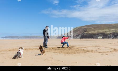 A woman strains against the power of her trainer kite as her partner watches on and gives advice. Two dogs in foreground Stock Photo