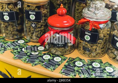 05.28.2022 Warsaw, Poland. Natural healthcare concept. Numerous transparent glass jars full of dried CBD cannabis buds showcased to new clients. High quality photo Stock Photo