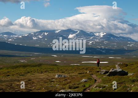 A hiker on a trail between the Swedish Blahammaren and Norwegian Storerikvollen Mountain stations, Jamtland, Sweden Stock Photo