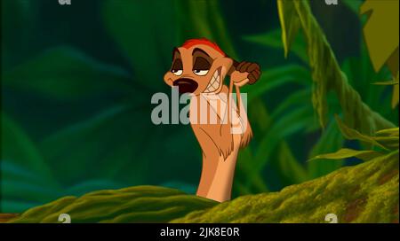 Timon Film: The Lion King (USA 1994) Director: Roger Allers & Rob ...