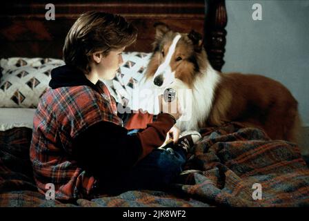 LASSIE -1994 THOMAS GUIRY Stock Photo - Alamy