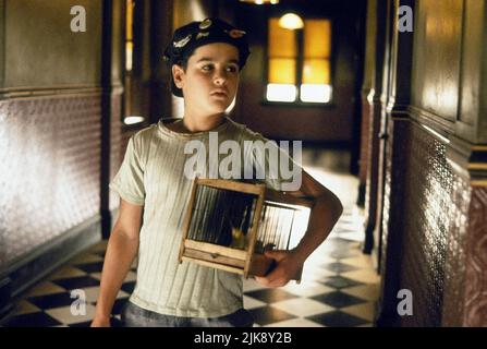 King of the hill 1993 karen allen hi-res stock photography and images -  Alamy