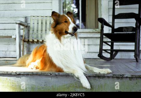 LASSIE, LASSIE, 1994 Stock Photo - Alamy
