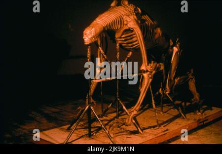 Alien Monster Film Species Ii; Species 2 (USA 1998) Director: Peter ...