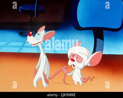 Pinky And The Brain Television: Pinky And The Brain (1995)   Director: Russell Calabrese 09 September 1995   **WARNING** This Photograph is for editorial use only and is the copyright of WARNER BROS TV and/or the Photographer assigned by the Film or Production Company and can only be reproduced by publications in conjunction with the promotion of the above Film. A Mandatory Credit To WARNER BROS TV is required. The Photographer should also be credited when known. No commercial use can be granted without written authority from the Film Company. Stock Photo