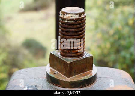 The thread of a large, rusty bolt Stock Photo