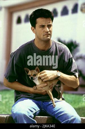 Matthew Perry & Dog Film: Fools Rush In (1997) Characters: Alex Whitman &  Director: Andy Tennant 14 February 1997   **WARNING** This Photograph is for editorial use only and is the copyright of COLUMBIA and/or the Photographer assigned by the Film or Production Company and can only be reproduced by publications in conjunction with the promotion of the above Film. A Mandatory Credit To COLUMBIA is required. The Photographer should also be credited when known. No commercial use can be granted without written authority from the Film Company. Stock Photo